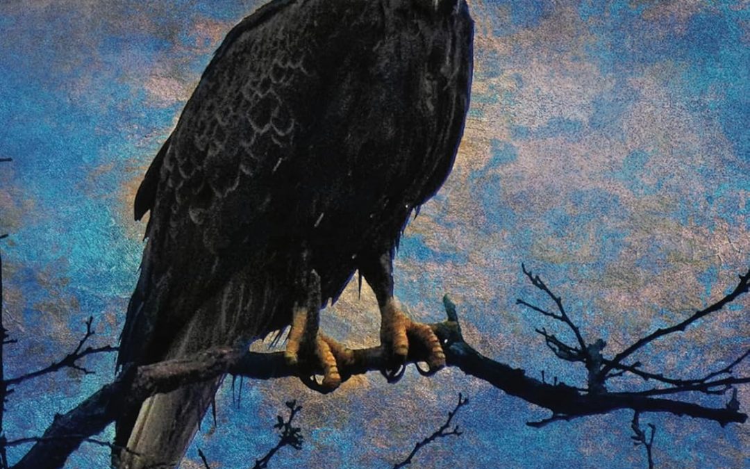 Eagles of Autism: Autumn the Autistic Eagle Book One